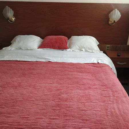 Omi Kika B&B Villarrica Extérieur photo