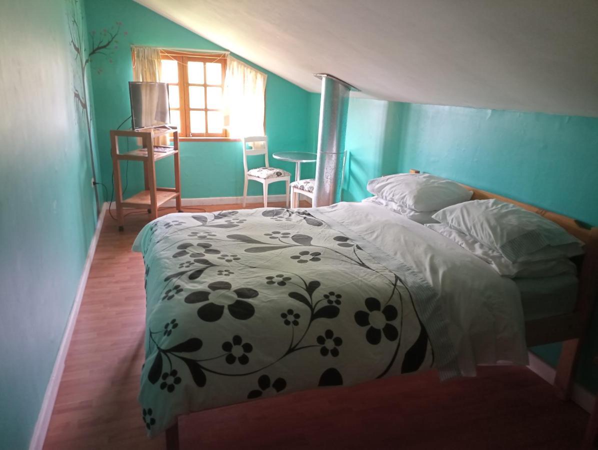 Omi Kika B&B Villarrica Extérieur photo
