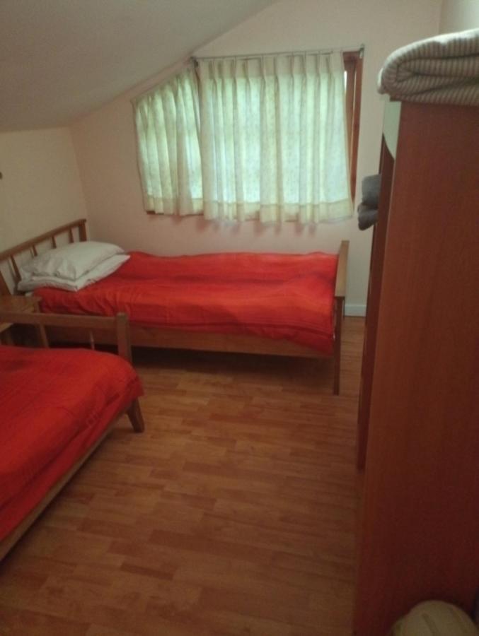 Omi Kika B&B Villarrica Extérieur photo
