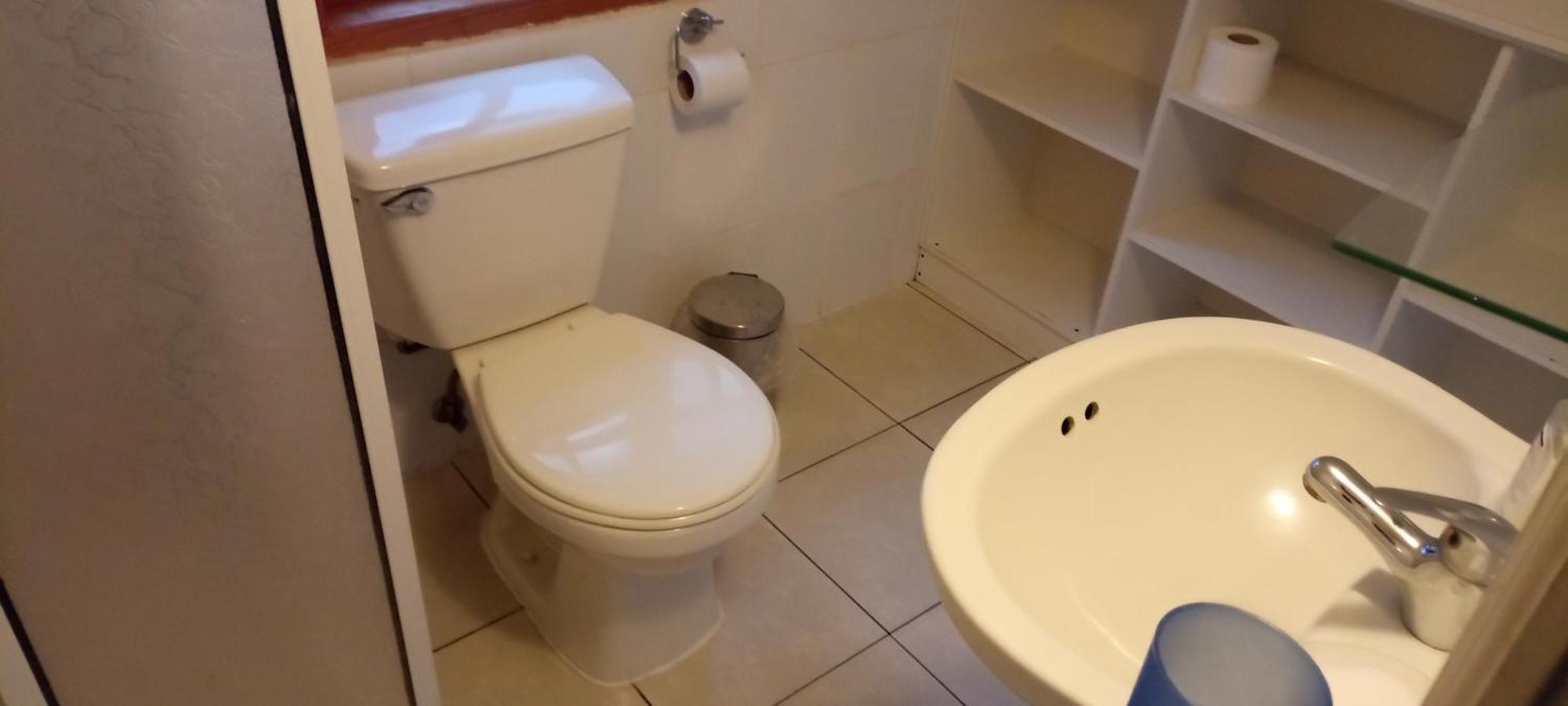 Omi Kika B&B Villarrica Extérieur photo