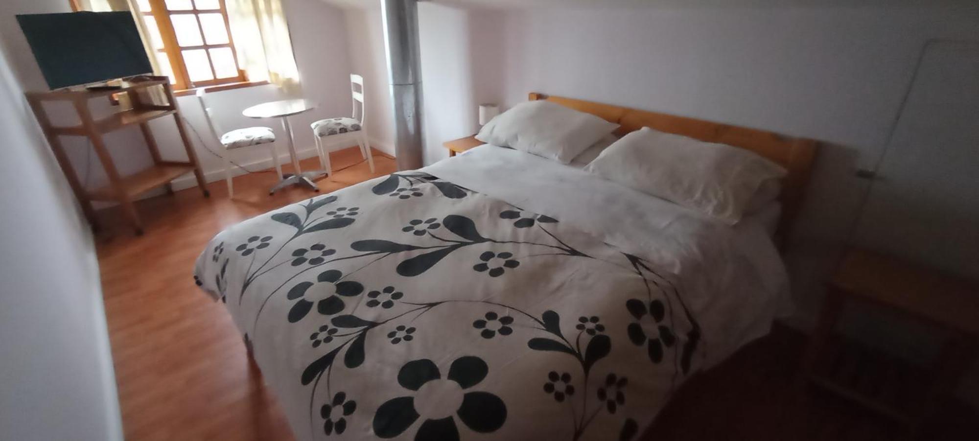 Omi Kika B&B Villarrica Extérieur photo