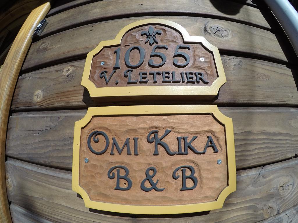 Omi Kika B&B Villarrica Extérieur photo