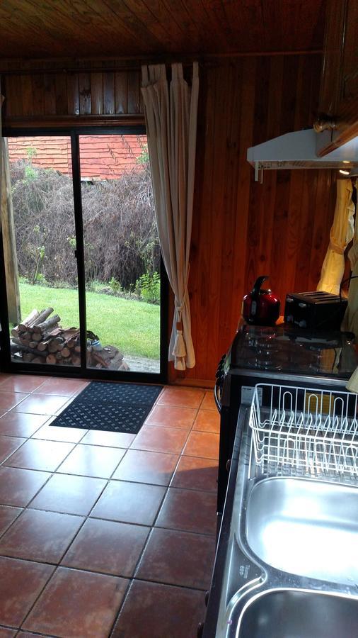 Omi Kika B&B Villarrica Extérieur photo