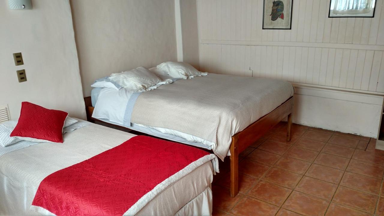 Omi Kika B&B Villarrica Extérieur photo